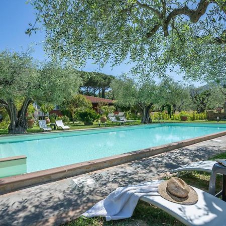 Agriturismo Buen Camino 斯卡尔利诺 外观 照片