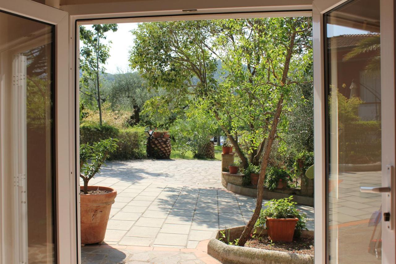 Agriturismo Buen Camino 斯卡尔利诺 外观 照片
