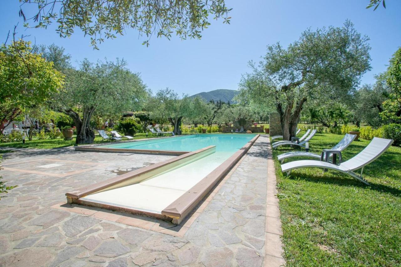 Agriturismo Buen Camino 斯卡尔利诺 外观 照片