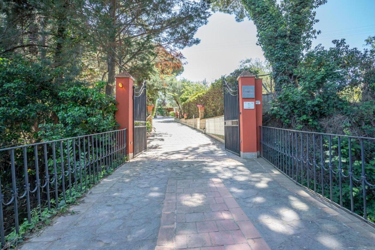 Agriturismo Buen Camino 斯卡尔利诺 外观 照片