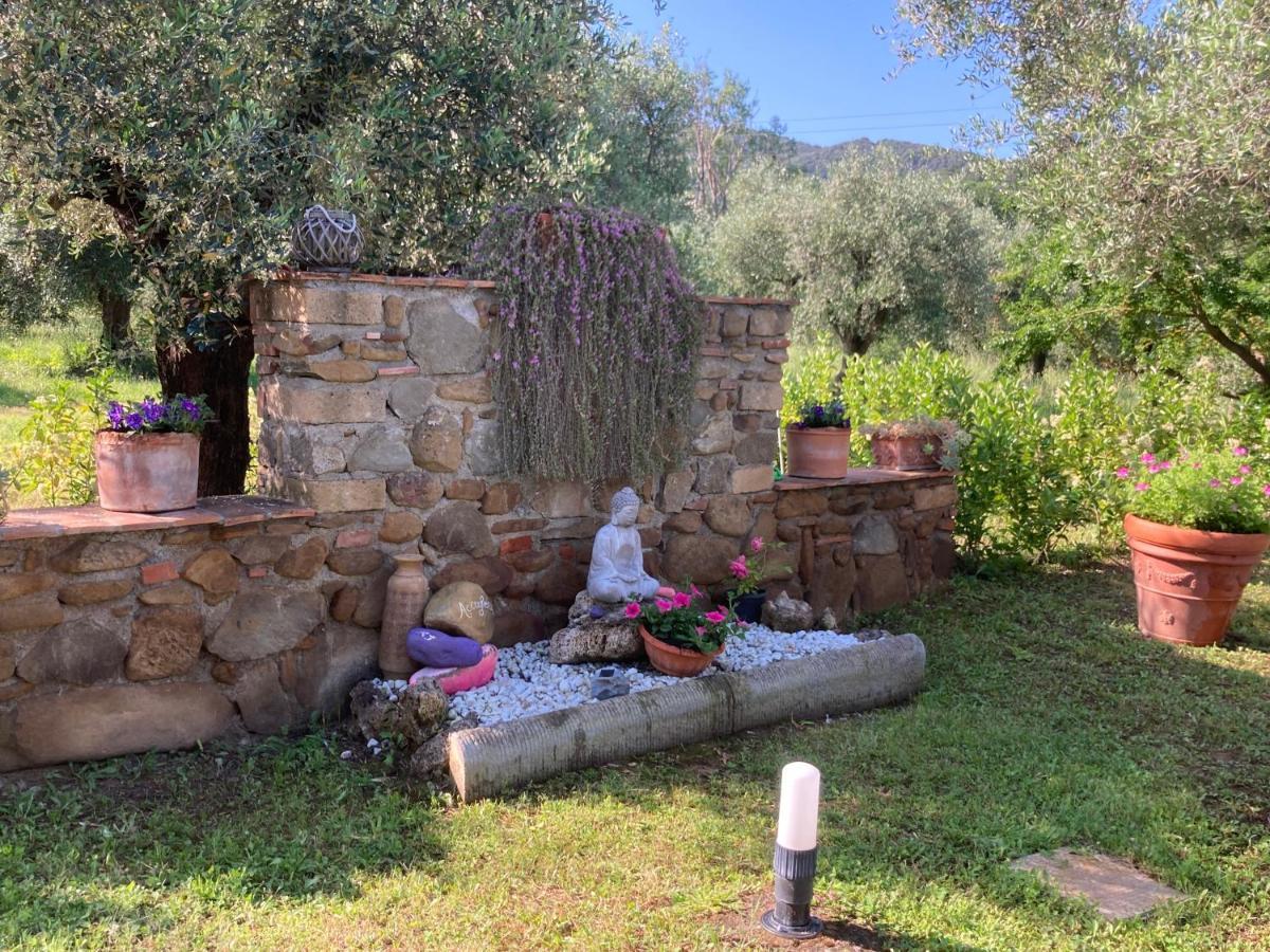 Agriturismo Buen Camino 斯卡尔利诺 外观 照片
