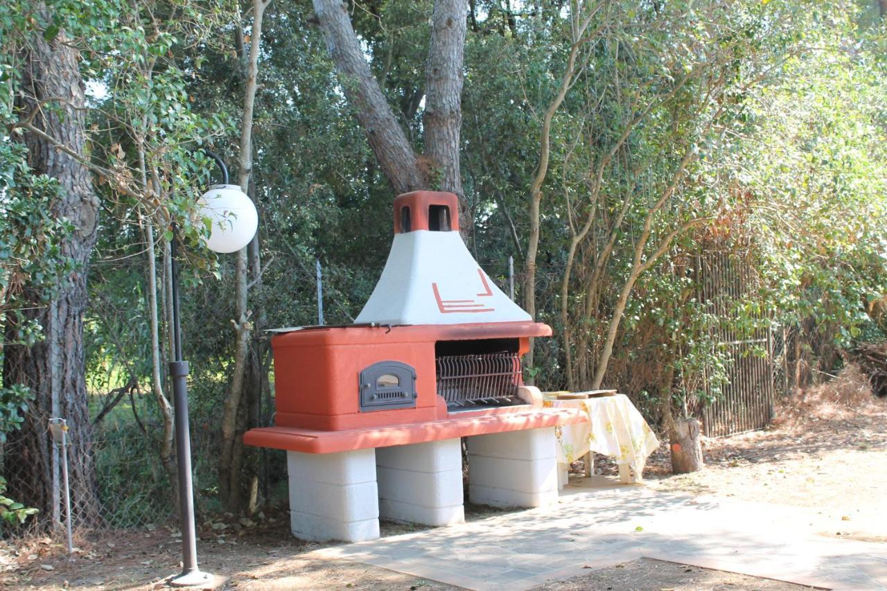 Agriturismo Buen Camino 斯卡尔利诺 外观 照片