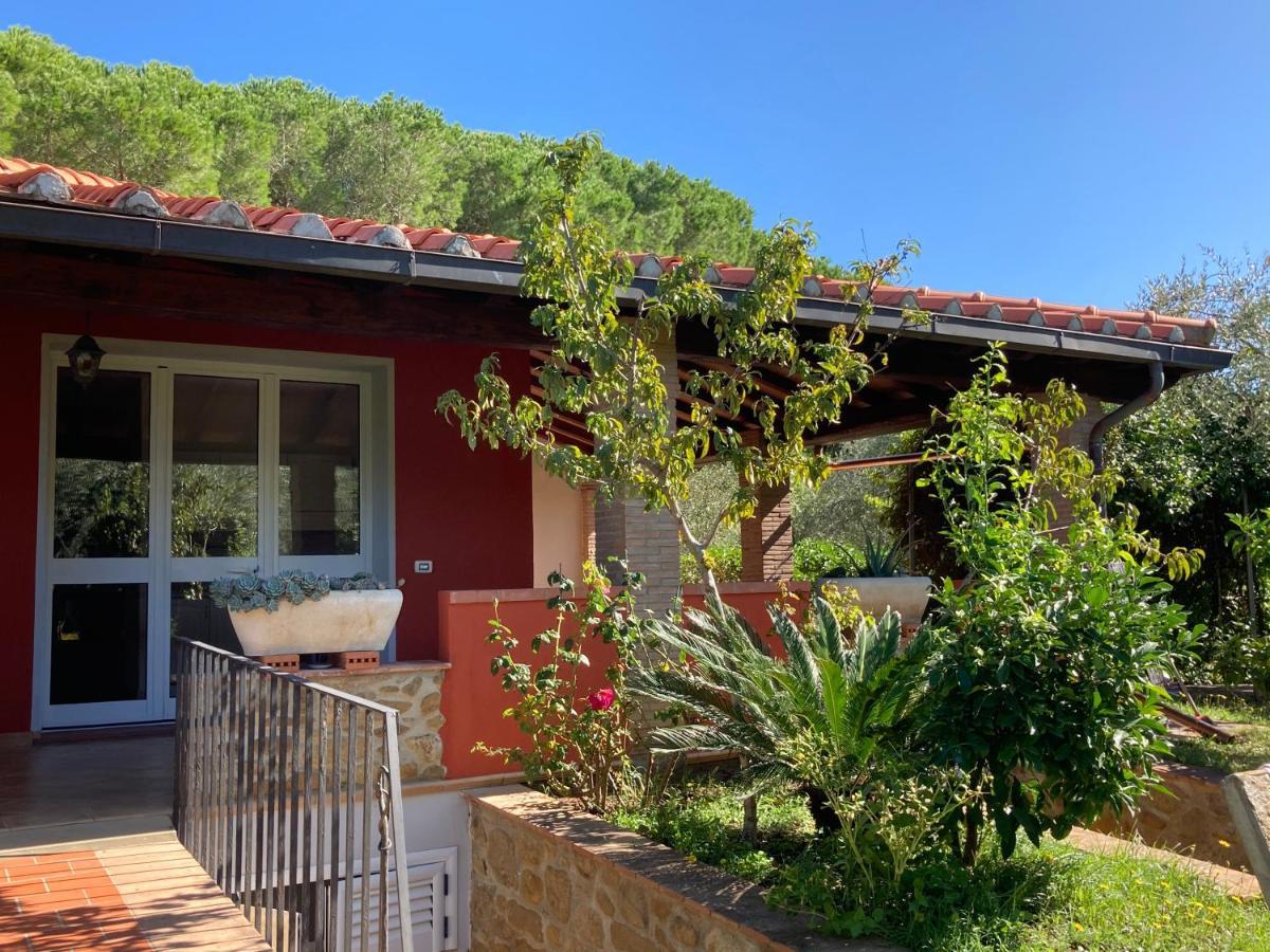 Agriturismo Buen Camino 斯卡尔利诺 外观 照片